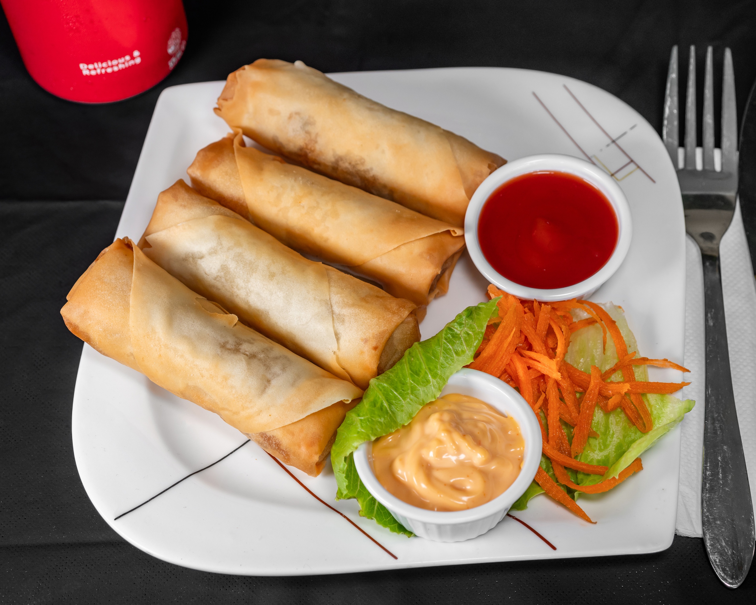Veg Spring Rolls